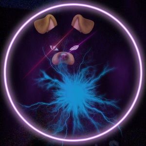 Meet your Posher, Teagan